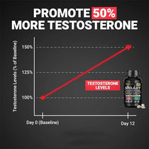 Natural Powerful Male Supplement with Shilajit, Ashwagandha & Ginseng Extract